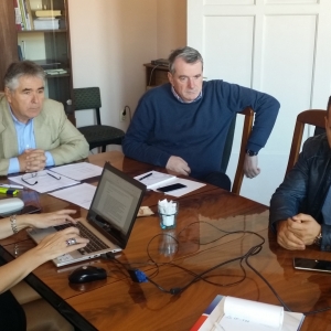 Meeting of working groups (WG) leaders