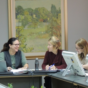 Advisory monitoring visit to the IF4TM project