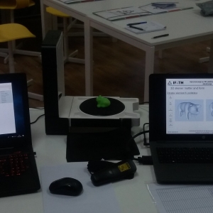 Training 