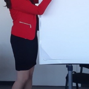 Introductory Workshop 